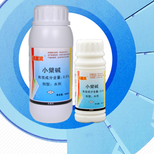 沃柑潰瘍病專(zhuān)用藥——潰腐靈 價(jià)格、廠家與產(chǎn)品詳解